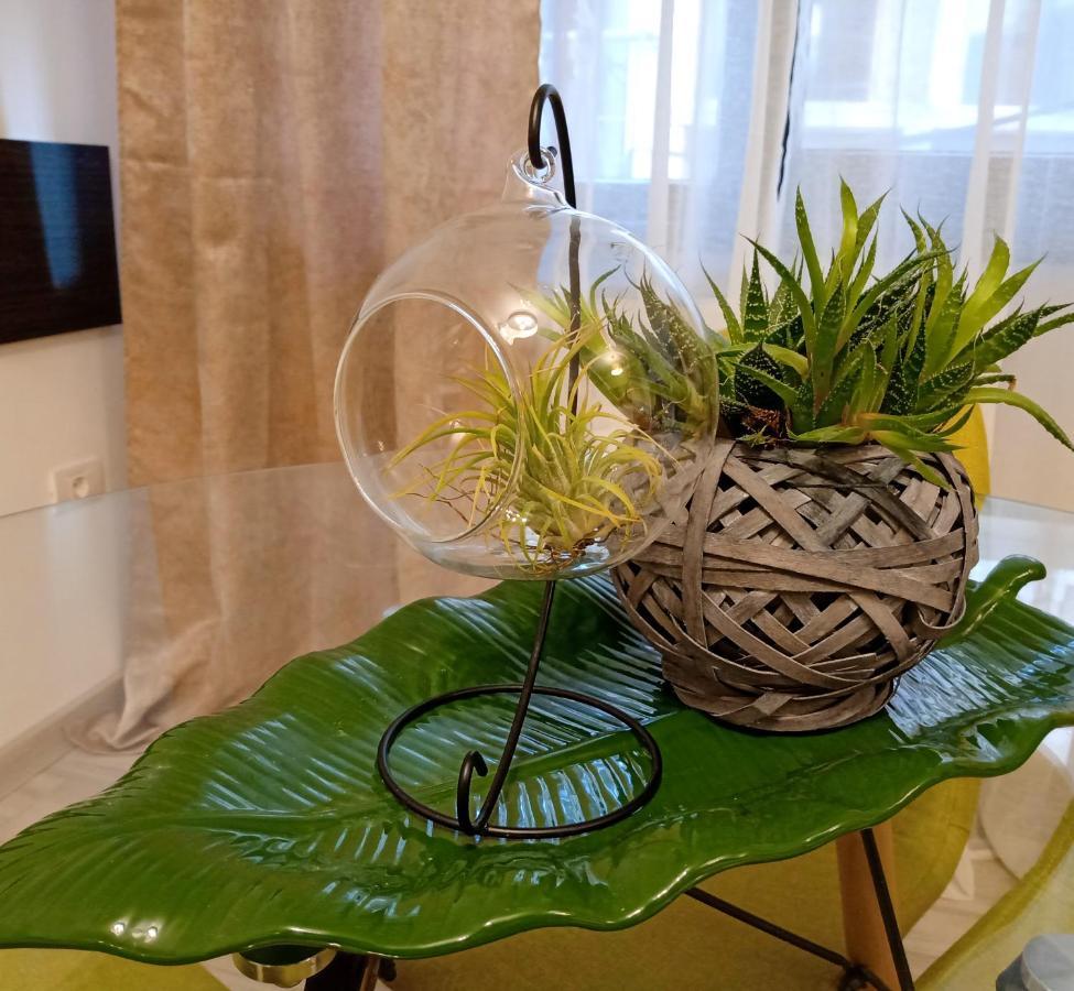 Ric Apartament Năvodari Eksteriør billede